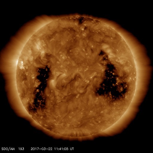 SDO-193 Image of Coronal Holes