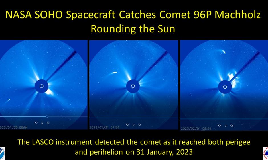 Comet 96P Machholz in SOHO