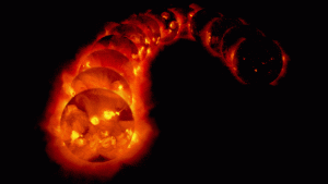 The Sun in X-rays through the Solar Cycle.